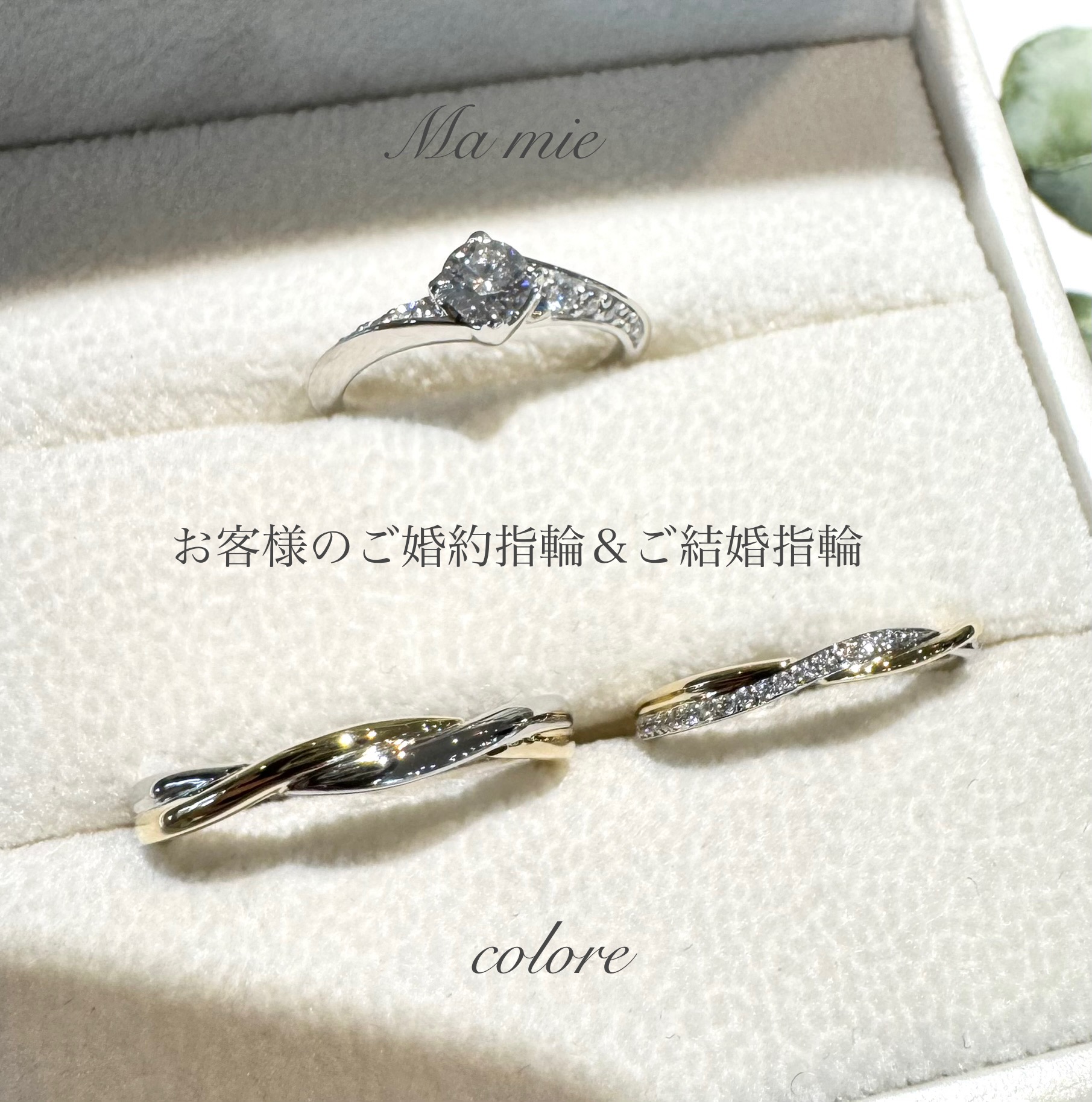 婚約指輪『マミ』と結婚由指輪『コロレ』